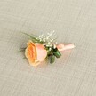 2-13.IMG_3491-900x900.jpg