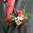 3.IMG_3533-900x900.jpg